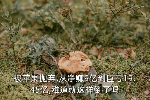 被蘋果拋棄,從凈賺9億到巨虧19.45億,難道就這樣倒了嗎