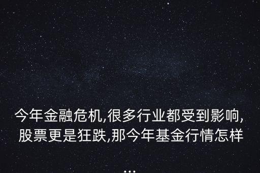 今年金融危機(jī),很多行業(yè)都受到影響, 股票更是狂跌,那今年基金行情怎樣...