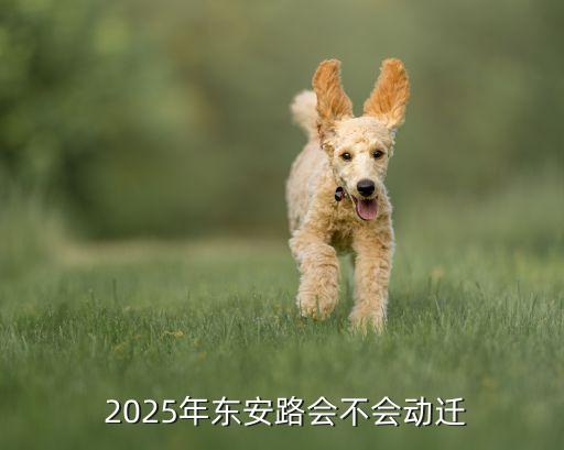  2025年?yáng)|安路會(huì)不會(huì)動(dòng)遷