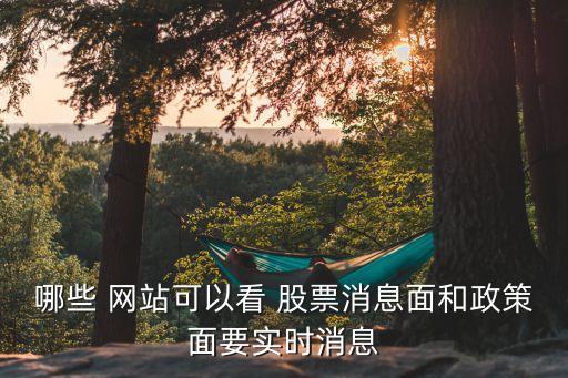 哪些 網(wǎng)站可以看 股票消息面和政策面要實時消息