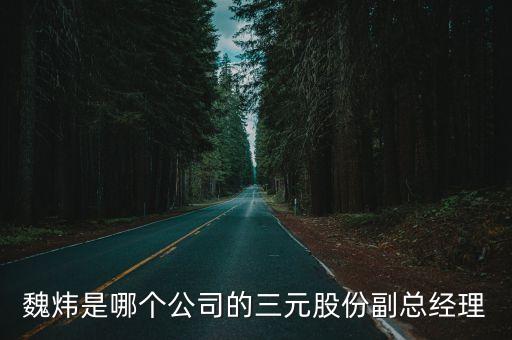 魏煒是哪個公司的三元股份副總經(jīng)理