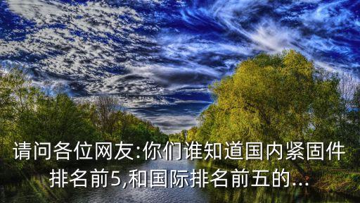 請(qǐng)問(wèn)各位網(wǎng)友:你們誰(shuí)知道國(guó)內(nèi)緊固件排名前5,和國(guó)際排名前五的...