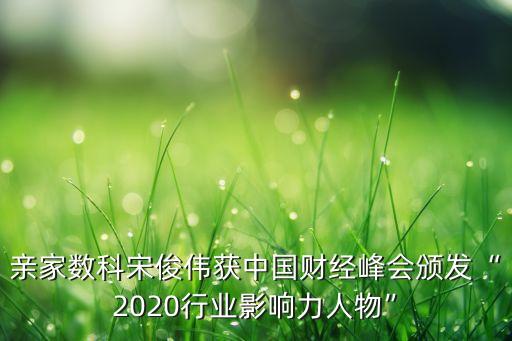 親家數(shù)科宋俊偉獲中國財(cái)經(jīng)峰會(huì)頒發(fā)“2020行業(yè)影響力人物”