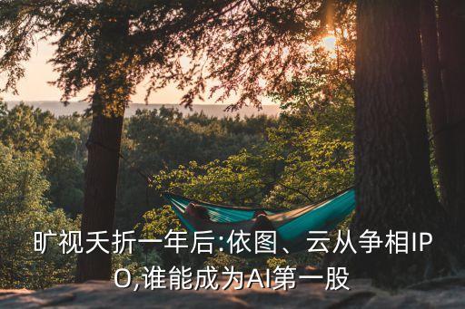 曠視夭折一年后:依圖、云從爭(zhēng)相IPO,誰(shuí)能成為AI第一股