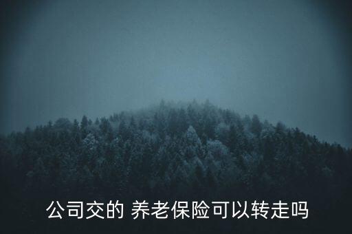 公司交的養(yǎng)老保險(xiǎn)