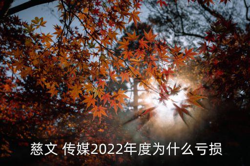  慈文 傳媒2022年度為什么虧損