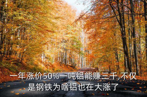 一年漲價50%一噸鋁能賺三千,不僅是鋼鐵為啥鋁也在大漲了