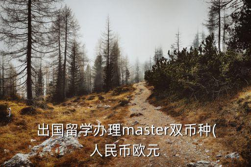  出國留學辦理master雙幣種(人民幣歐元