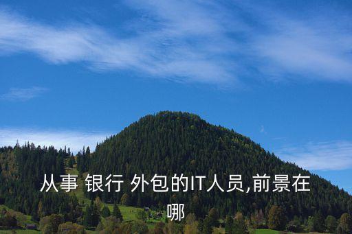 銀行業(yè)務it外包風險與安全管理研究