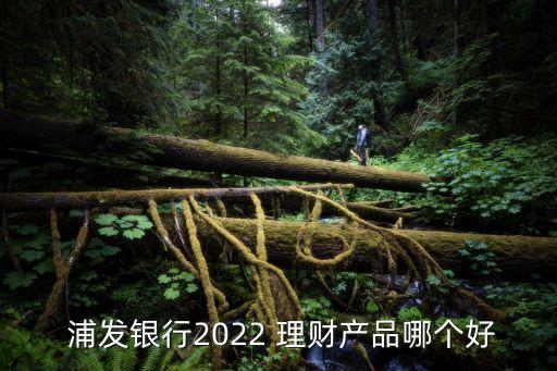  浦發(fā)銀行2022 理財產(chǎn)品哪個好