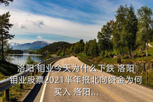  洛陽 鉬業(yè)今天為什么下跌 洛陽 鉬業(yè)股票2021半年報(bào)北向資金為何買入 洛陽...