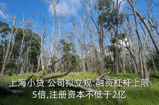 上海小貸 公司擬立規(guī):融資杠桿上限5倍,注冊(cè)資本不低于2億