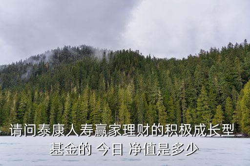 請問泰康人壽贏家理財(cái)?shù)姆e極成長型 基金的 今日 凈值是多少