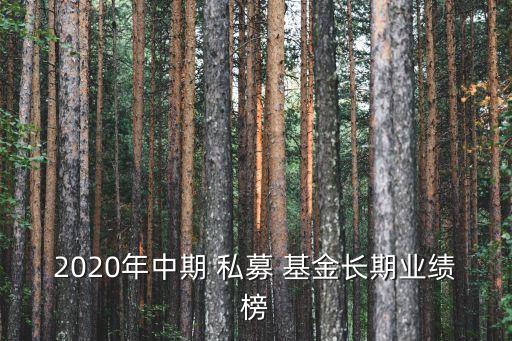 2020年中期 私募 基金長(zhǎng)期業(yè)績(jī)榜