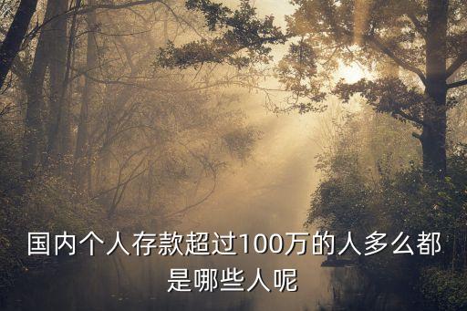 國(guó)內(nèi)個(gè)人存款超過(guò)100萬(wàn)的人多么都是哪些人呢