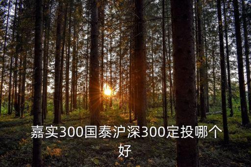  嘉實(shí)300國泰滬深300定投哪個(gè)好