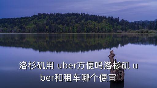 uber公司