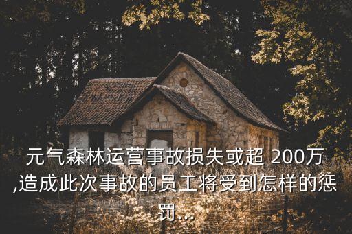 元?dú)馍诌\(yùn)營事故損失或超 200萬,造成此次事故的員工將受到怎樣的懲罰...