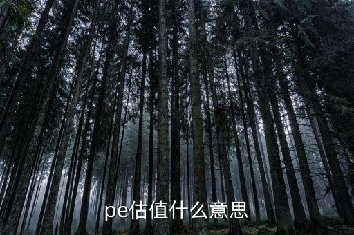 pe估值什么意思