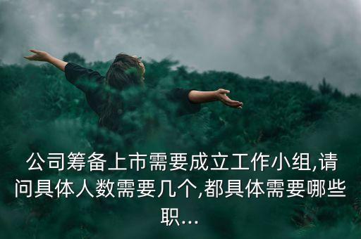  公司籌備上市需要成立工作小組,請(qǐng)問具體人數(shù)需要幾個(gè),都具體需要哪些職...