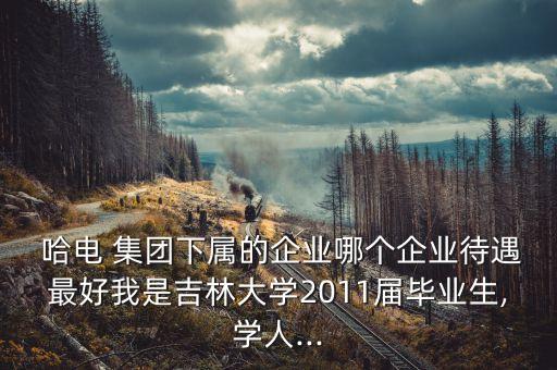  哈電 集團(tuán)下屬的企業(yè)哪個(gè)企業(yè)待遇最好我是吉林大學(xué)2011屆畢業(yè)生,學(xué)人...