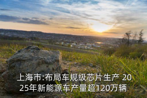  上海市:布局車規(guī)級(jí)芯片生產(chǎn) 2025年新能源車產(chǎn)量超120萬(wàn)輛