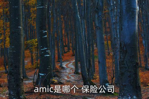 amic是哪個(gè) 保險(xiǎn)公司