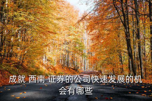 成就 西南 證券的公司快速發(fā)展的機(jī)會(huì)有哪些