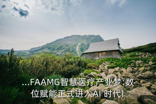 ...FAAMG智慧醫(yī)療產(chǎn)業(yè)夢:數(shù)位賦能正式進入AI 時代!