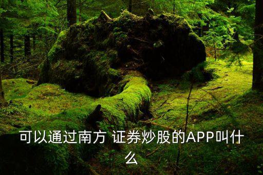 可以通過南方 證券炒股的APP叫什么