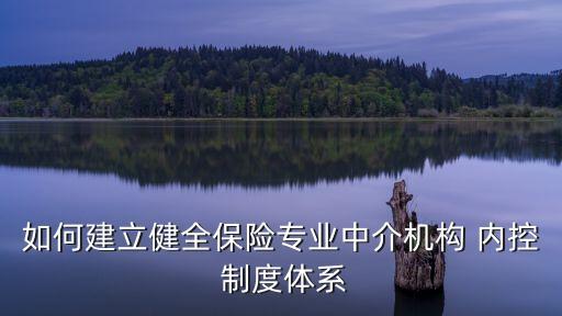 如何建立健全保險專業(yè)中介機構(gòu) 內(nèi)控 制度體系