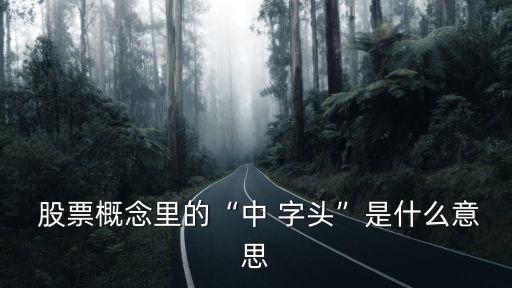 低價(jià)中字頭股票,中字頭股票一覽表