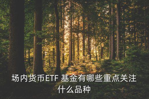 場內貨幣ETF 基金有哪些重點關注什么品種