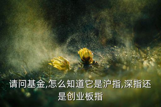 請問基金,怎么知道它是滬指,深指還是創(chuàng)業(yè)板指