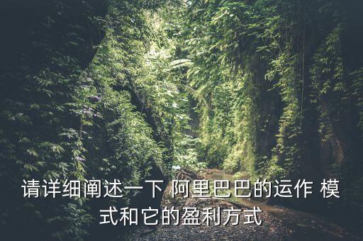 請詳細(xì)闡述一下 阿里巴巴的運作 模式和它的盈利方式