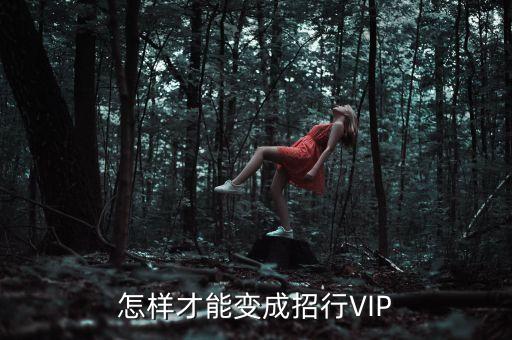 怎樣才能變成招行VIP