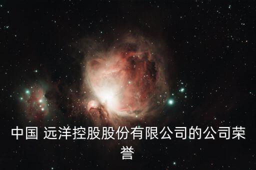 中國 遠洋控股股份有限公司的公司榮譽