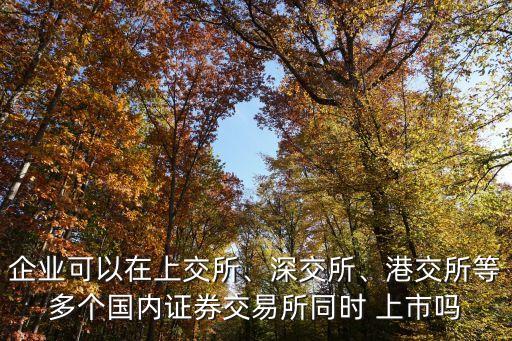 企業(yè)可以在上交所、深交所、港交所等多個(gè)國(guó)內(nèi)證券交易所同時(shí) 上市嗎