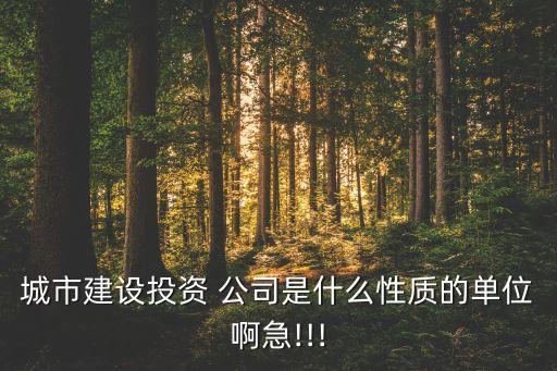 城市建設(shè)投資 公司是什么性質(zhì)的單位啊急!!!