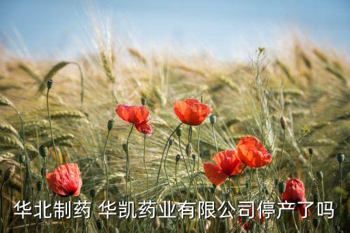 華凱集團(tuán)董事長(zhǎng)照片,恒力集團(tuán)董事長(zhǎng)女兒照片