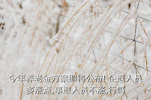 今年養(yǎng)老金方案即將公布! 企退人員多漲點,事退人員不漲,行嗎