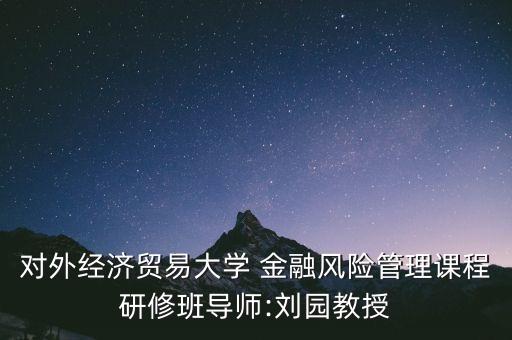 對外經(jīng)濟貿(mào)易大學(xué) 金融風(fēng)險管理課程研修班導(dǎo)師:劉園教授