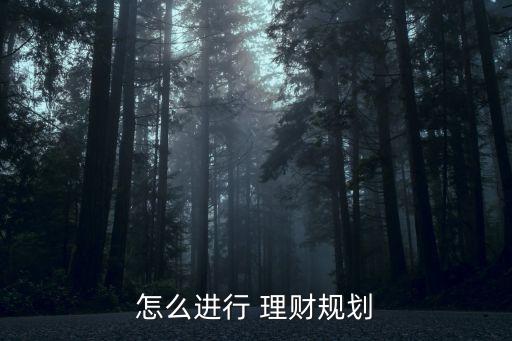 怎么進行 理財規(guī)劃