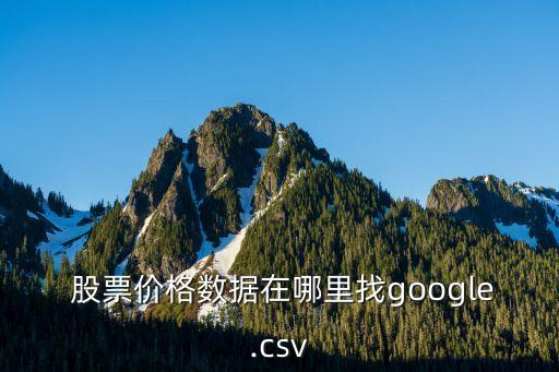  股票價(jià)格數(shù)據(jù)在哪里找google.csv