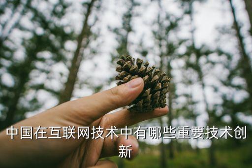 中國(guó)在互聯(lián)網(wǎng)技術(shù)中有哪些重要技術(shù)創(chuàng)新