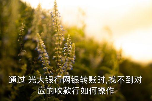 通過 光大銀行網(wǎng)銀轉(zhuǎn)賬時(shí),找不到對應(yīng)的收款行如何操作