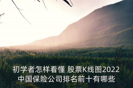 初學(xué)者怎樣看懂 股票K線圖2022中國保險公司排名前十有哪些