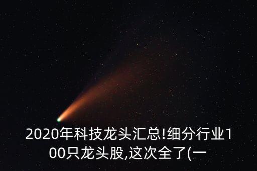 2020年科技龍頭匯總!細分行業(yè)100只龍頭股,這次全了(一