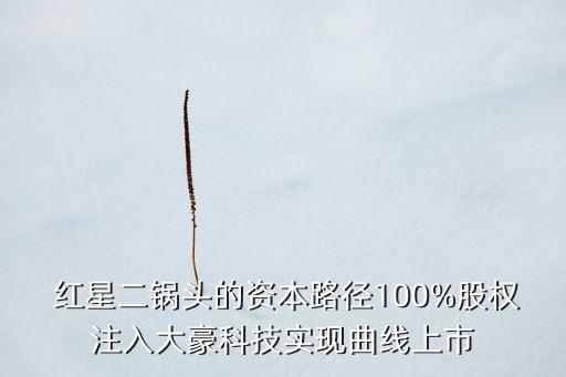  紅星二鍋頭的資本路徑100%股權(quán)注入大豪科技實(shí)現(xiàn)曲線上市