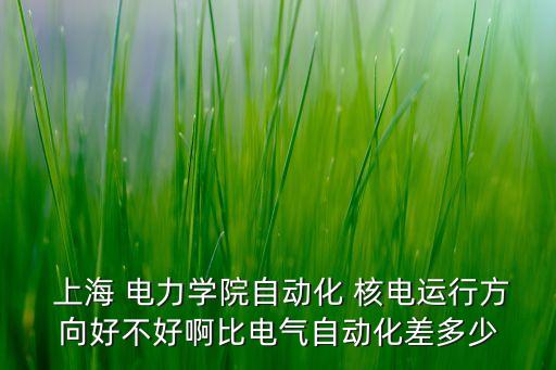  上海 電力學(xué)院自動化 核電運行方向好不好啊比電氣自動化差多少